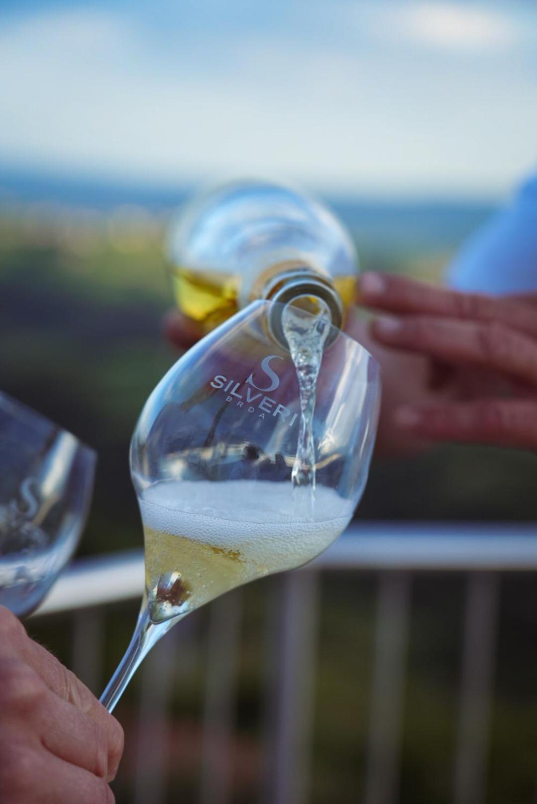 Pikol Lake Village Wine Estate Nova Gorica Exterior foto